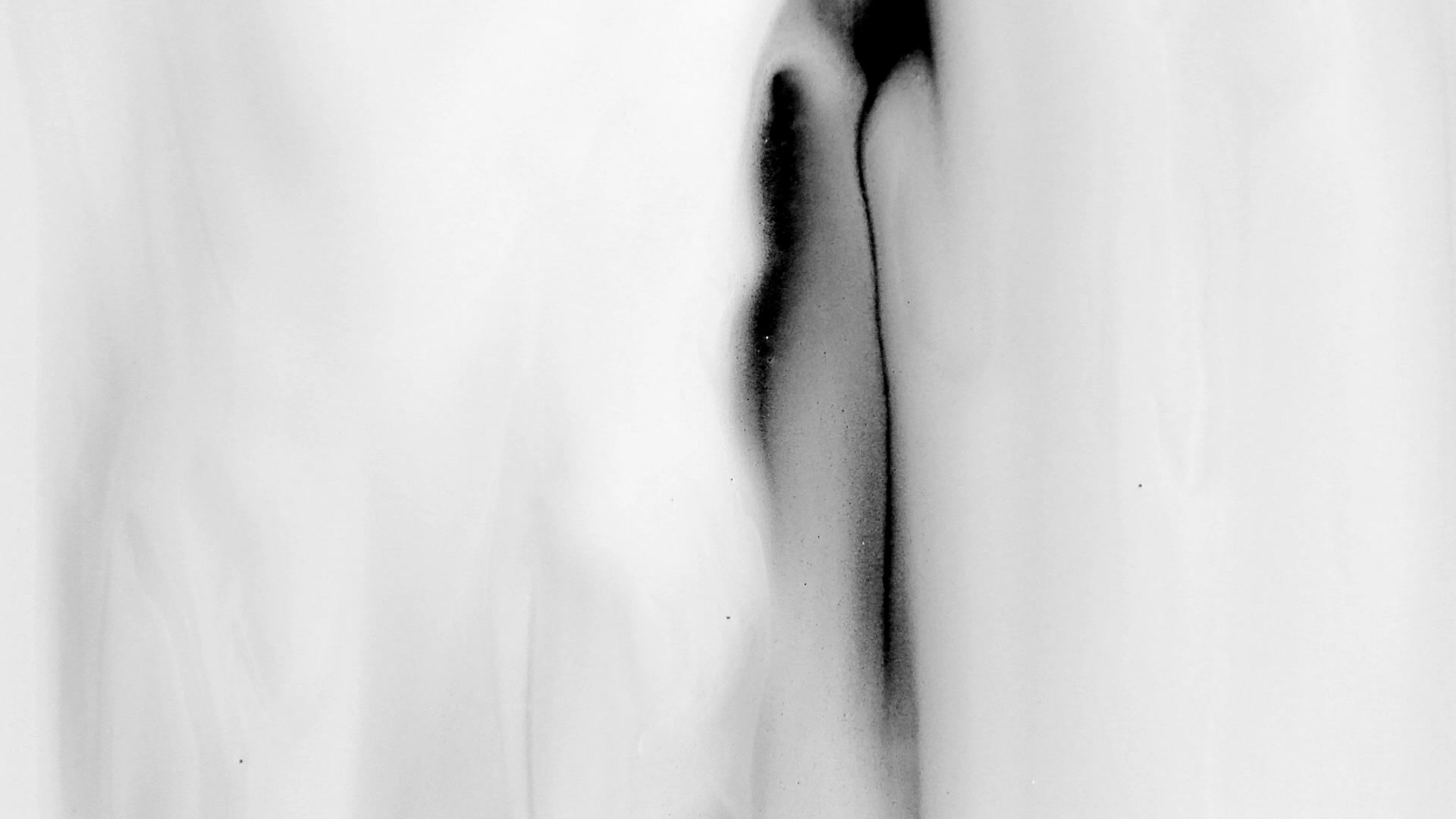 Gallery Preview