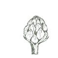 Artichoke