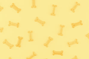 Dog Treats
