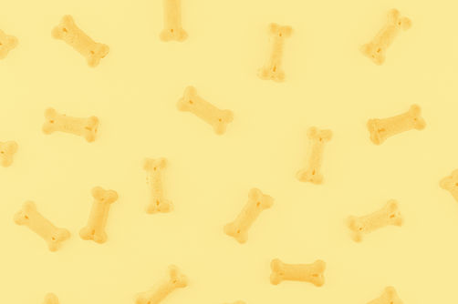 Dog Treats