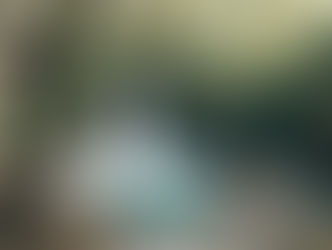 Dr. Carol Natasha Diviney Announces New Initiative to Integrate Nature-Based Well-being into Hospital and Primary Care Settings