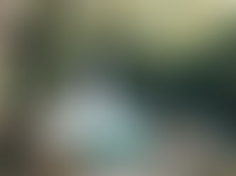 Dr. Carol Natasha Diviney Announces New Initiative to Integrate Nature-Based Well-being into Hospital and Primary Care Settings