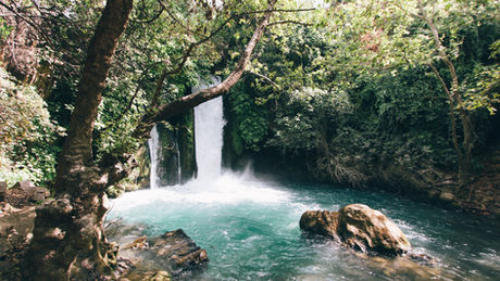 Earth Overshoot Day, 30 July