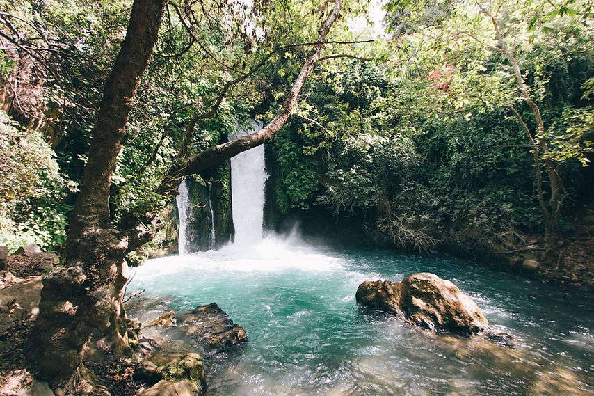 Serene Forest Waterfall