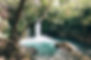 Serene Forest Waterfall