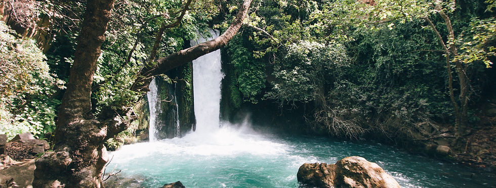 Serene Forest Waterfall