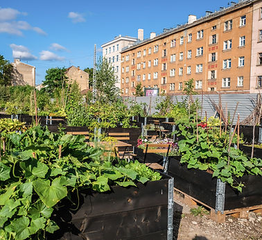 Community Garden