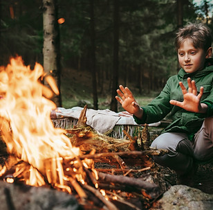 Campfire in Forest