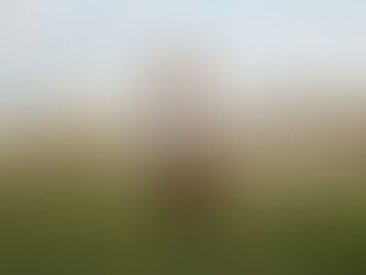 Woman running in field of horses