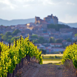 Les vignobles en terrasse du Jura, couverts de vignes aux tons de cuivre, dévoilent une splendeur automnale unique.