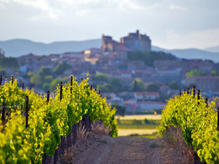 OENOTOURISME : les spots incontournables