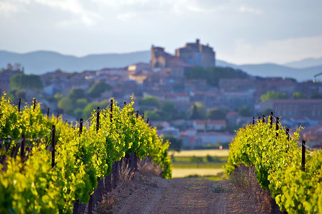 Vue du vignoble