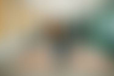 La verdad del Buen Fin de México