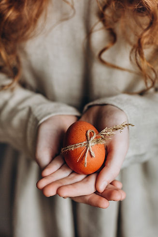Hands Holding Egg