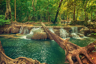 A waterfall