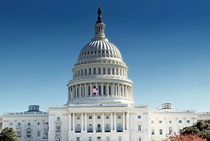 Government Capital
