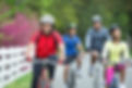 greenville sc guadianship lawyer