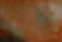 Textured Orange Surface
