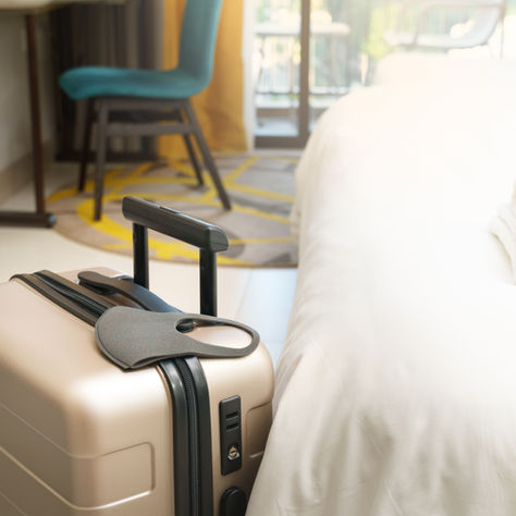2023-2028 Hospitality Industry Insight: Niche Markets and Technological Integration