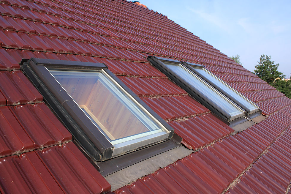 Roof windows fitted to the roof