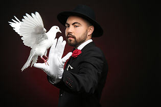 Magician Dove Magic