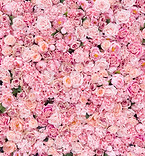 Rosa Blumenwand