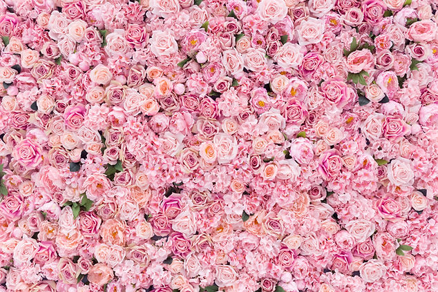 Pink Flower Wall
