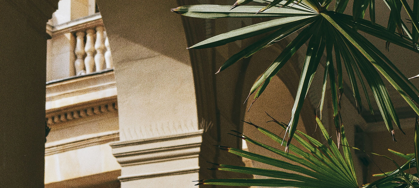Arch And Palm