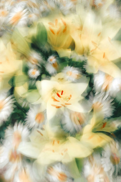 Abstract Floral Blur