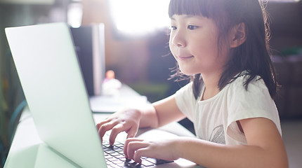 Pupil Using Laptop