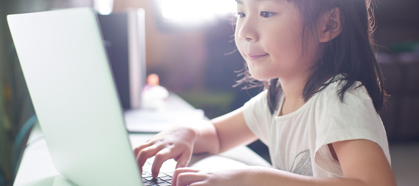 Pupil Using Laptop