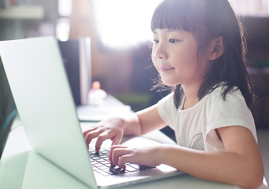 Pupil Using Laptop