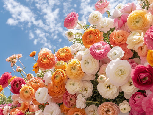 Bringing Awareness to your Mental Health During the Month of May