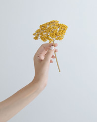 Yellow Flower