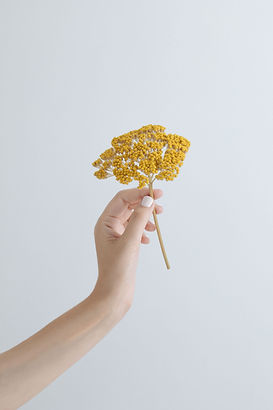 Flor que sostiene la mano