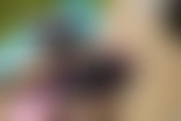 Simple functional tests to perform at home