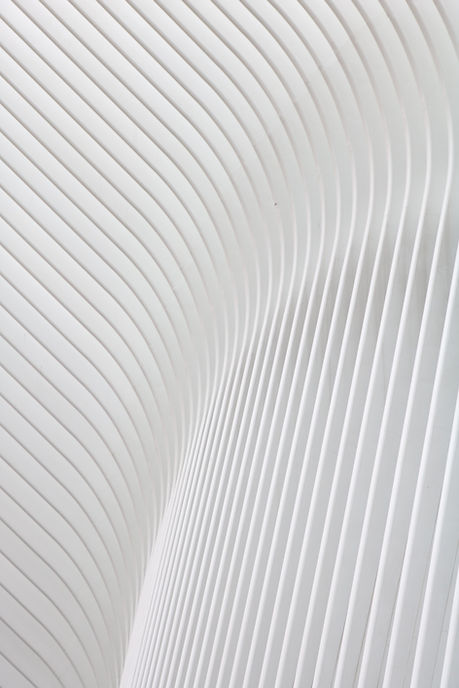 Curved White Lines