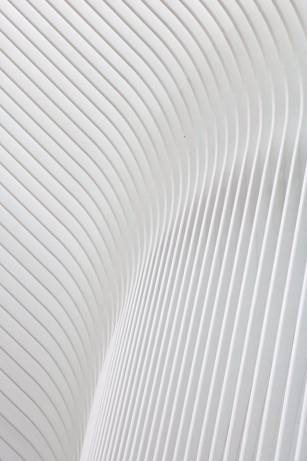 Curved White Lines