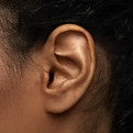 Ear