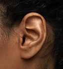 Ear