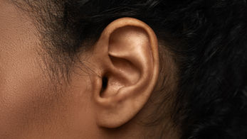 Ear