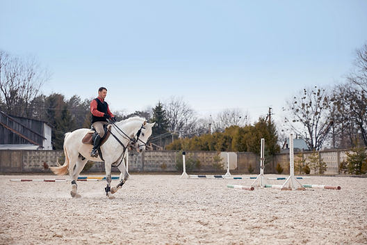 White Dressage Horse