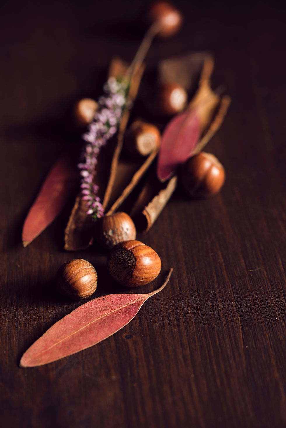 Rustic Autumn Composition