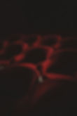 Poltrone rosse del teatro