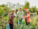 Community Garden