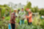 Community Garden