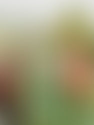 Food & Money help re: cost of living