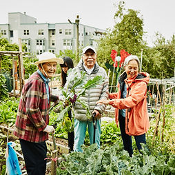 Community Garden