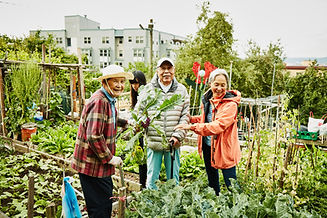 Community Garden