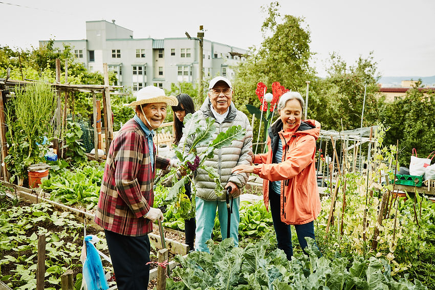 Community Garden
